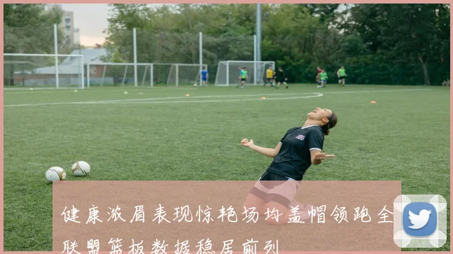 健康浓眉表现惊艳场均盖帽领跑全联盟篮板数据稳居前列